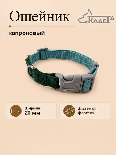 Ошейник №20 фастекс зелёно-голубой капрон