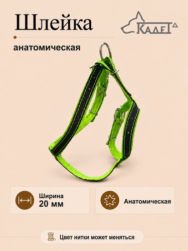 Шлейка №20 "Гольф" (анатомическая) (кожа)