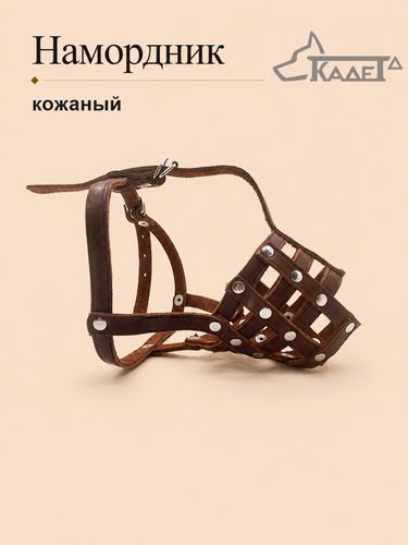 Намордник кожаный №2