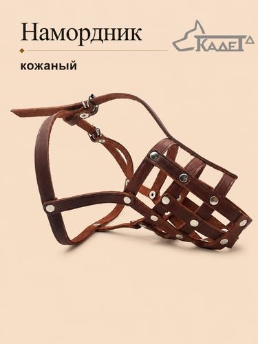 Намордник кожаный №3