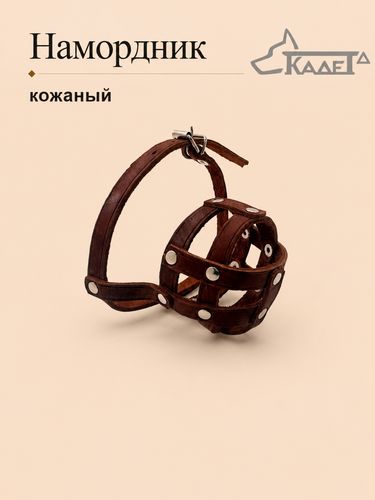 Намордник кожаный №0