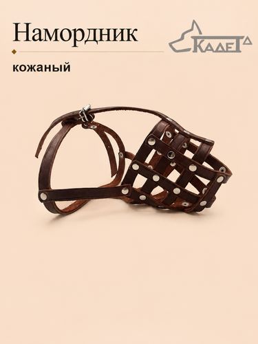 Намордник кожаный №4