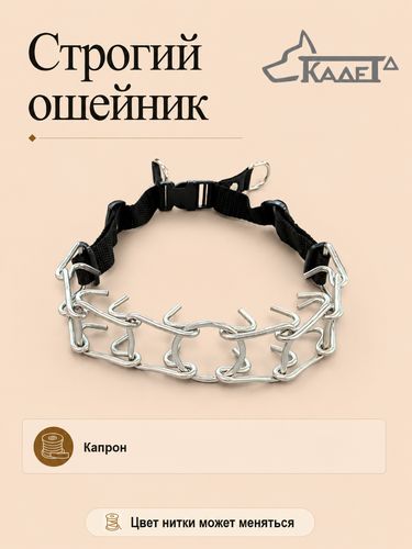 Строгий ошейник №3/8